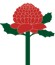Centered Image